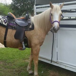 Meet your Posher, Ruth